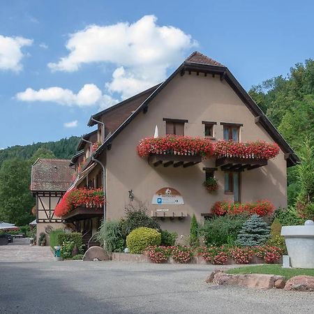 Hotel Domaine Le Moulin Ottrott Esterno foto