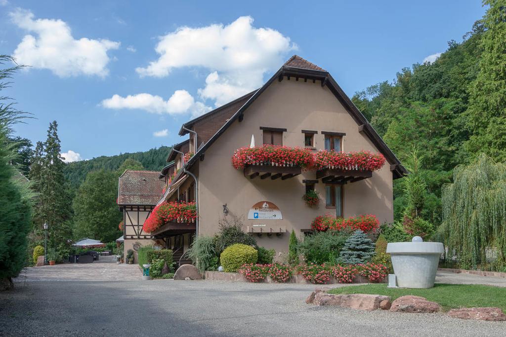 Hotel Domaine Le Moulin Ottrott Esterno foto