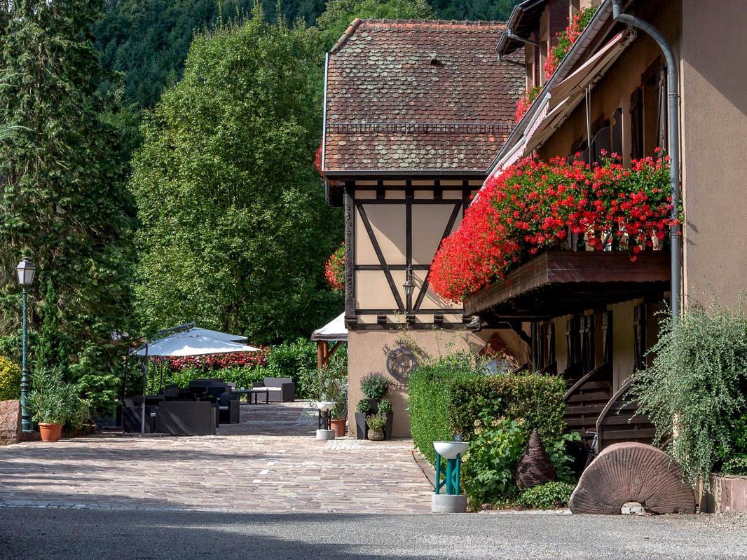 Hotel Domaine Le Moulin Ottrott Esterno foto