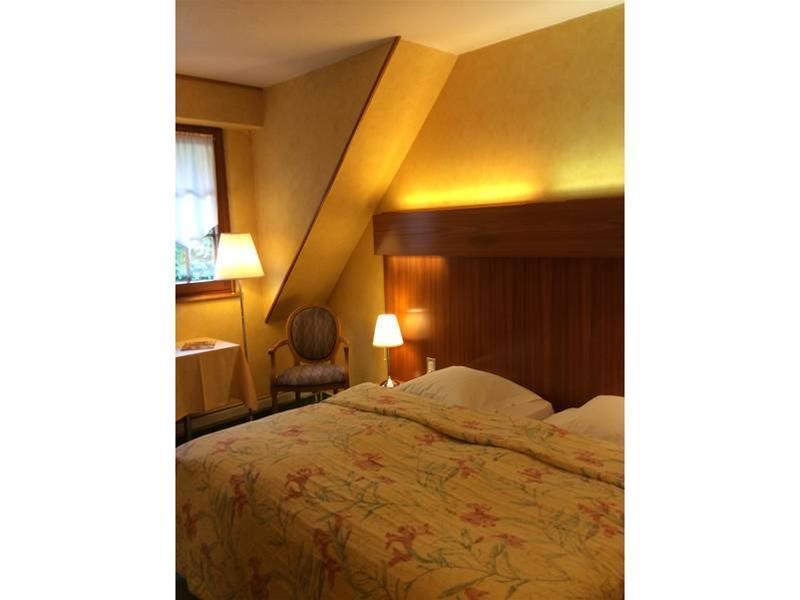 Hotel Domaine Le Moulin Ottrott Esterno foto